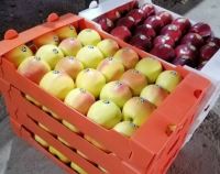 انگور شانی تره بار مرکزی تهران