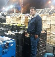 انگور شانی تره بار مرکزی تهران