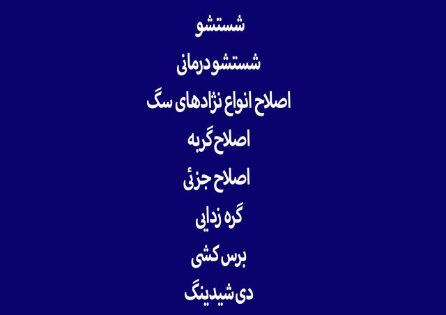 گرومینگ فکتوری , دکتر مهران ولدان 