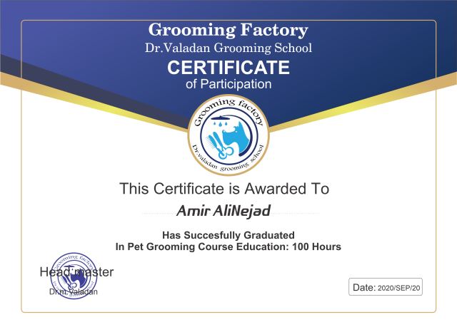 گرومینگ فکتوری , دکتر مهران ولدان 