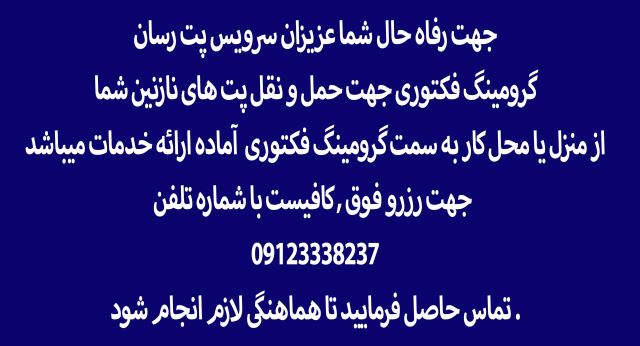 آموزش اصلاح حیوانات خانگی , آرایش حیوانات خانگی 