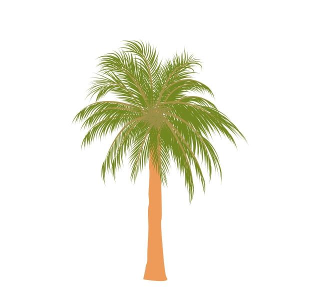 بسته بندی خرمای زاهدی زمرد