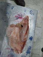 خرید کلیه مشتقات کشتارگاهی دامی وطیور