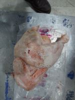 خرید کلیه مشتقات کشتارگاهی دامی وطیور