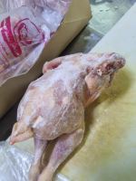 خرید کلیه مشتقات کشتارگاهی دامی وطیور