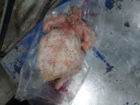 خرید کلیه مشتقات کشتارگاهی دامی وطیور