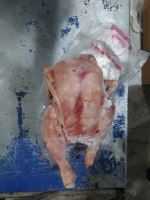 خرید کلیه مشتقات کشتارگاهی دامی وطیور