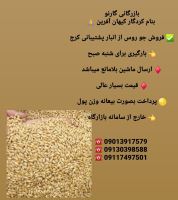 فروش مستقیم نهاده دامی و طیور