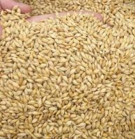 فروش مستقیم نهاده دامی و طیور