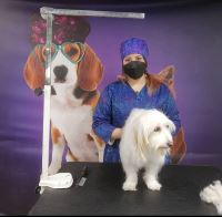 گرومینگ پت , دکتر مهران ولدان