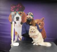 گرومینگ پت , دکتر مهران ولدان