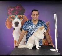 گرومینگ پت , دکتر مهران ولدان