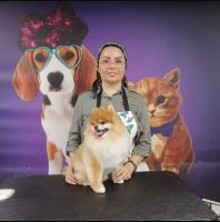 گرومینگ پت , دکتر مهران ولدان