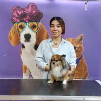 گرومینگ پت , دکتر مهران ولدان