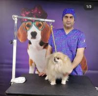 گرومینگ پت , دکتر مهران ولدان