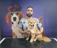 گرومینگ پت , دکتر مهران ولدان