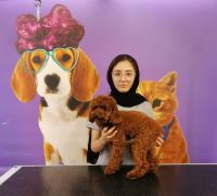 گرومینگ پت , دکتر مهران ولدان