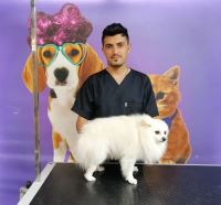 گرومینگ پت , دکتر مهران ولدان