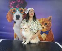 گرومینگ پت , دکتر مهران ولدان