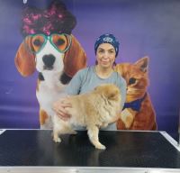 گرومینگ پت , دکتر مهران ولدان