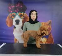 گرومینگ پت , دکتر مهران ولدان