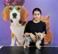 گرومینگ پت , دکتر مهران ولدان