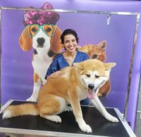 گرومینگ پت , دکتر مهران ولدان