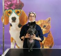 گرومینگ پت , دکتر مهران ولدان