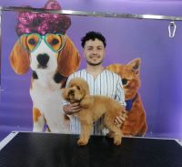 گرومینگ پت , دکتر مهران ولدان