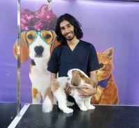 گرومینگ پت , دکتر مهران ولدان