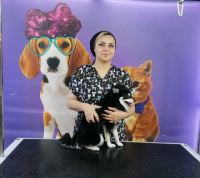 گرومینگ پت , دکتر مهران ولدان