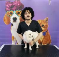 گرومینگ پت , دکتر مهران ولدان