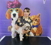 گرومینگ پت , دکتر مهران ولدان