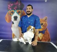 گرومینگ پت , دکتر مهران ولدان