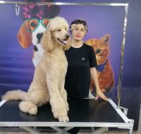 گرومینگ پت , دکتر مهران ولدان