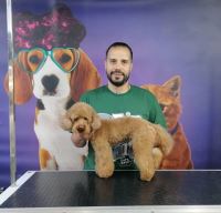 گرومینگ پت , دکتر مهران ولدان