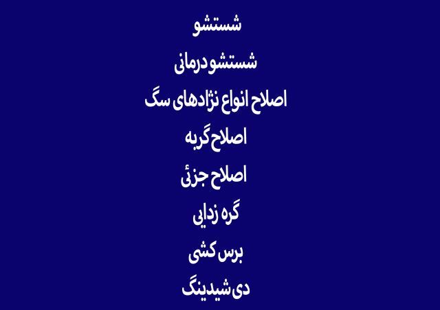 خدمات گرومینگ فکتوری