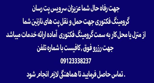 گرومینگ گربه و سگ