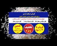 برنج فروشی گرگان