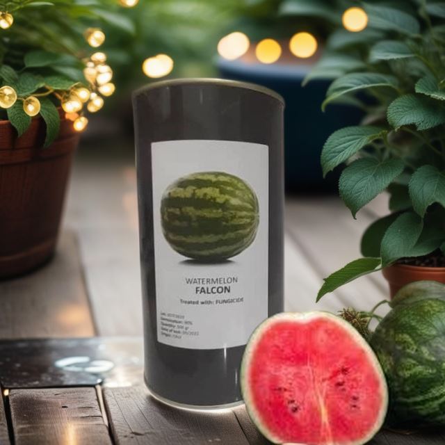 خرید بذر در شیراز 