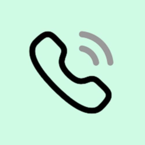 خرید بذر در شیراز 