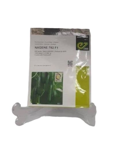 خرید بذر در شیراز 