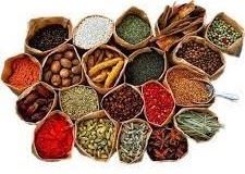 خرید بذر در شیراز 