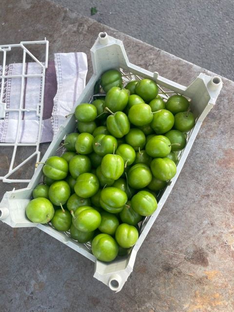 خرید عمده میوه برای مراسم