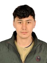شاه ولی حسینی