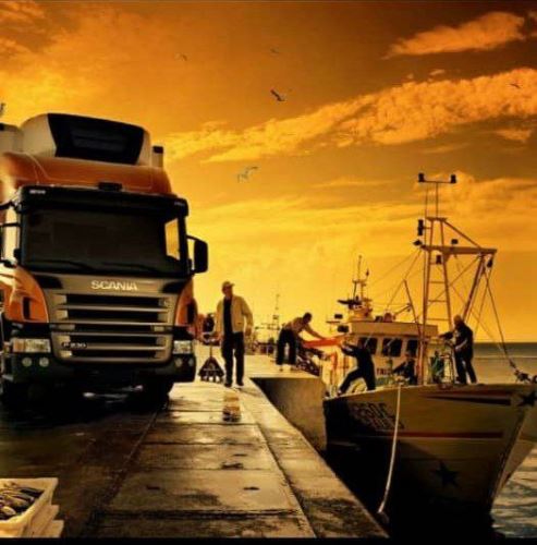 شرکت حمل و نقل کرج