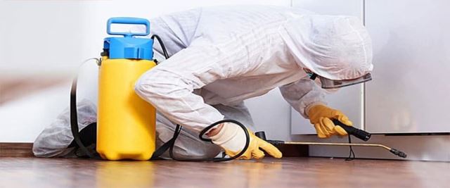 شرکت سم پاشی نگین شهر