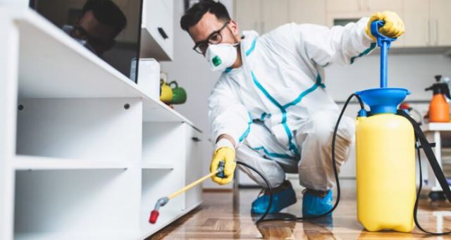 شرکت سم پاشی نگین شهر