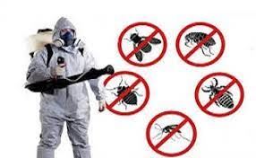 شرکت سمپاشی نگین شهر