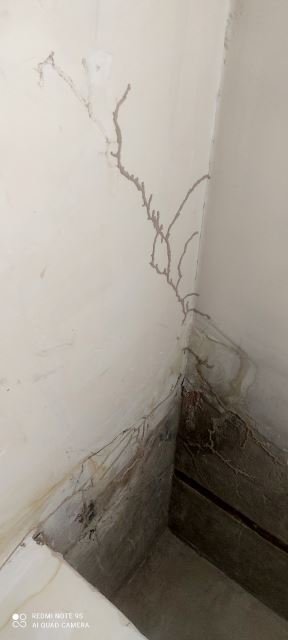 شرکت سم پاشی نگین شهر